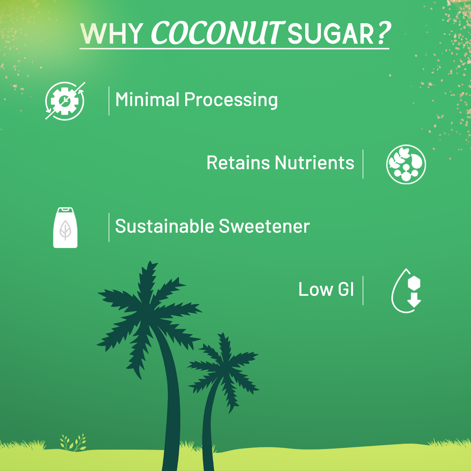 Sweetch Natural Coconut Sugar 350 GM Jar