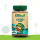 Sweetch Natural Coconut Sugar 350 GM Jar