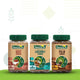 Sweetch Assorted Natural Sugar Pack of 3 (Date + Coconut + Palm) 350 GM