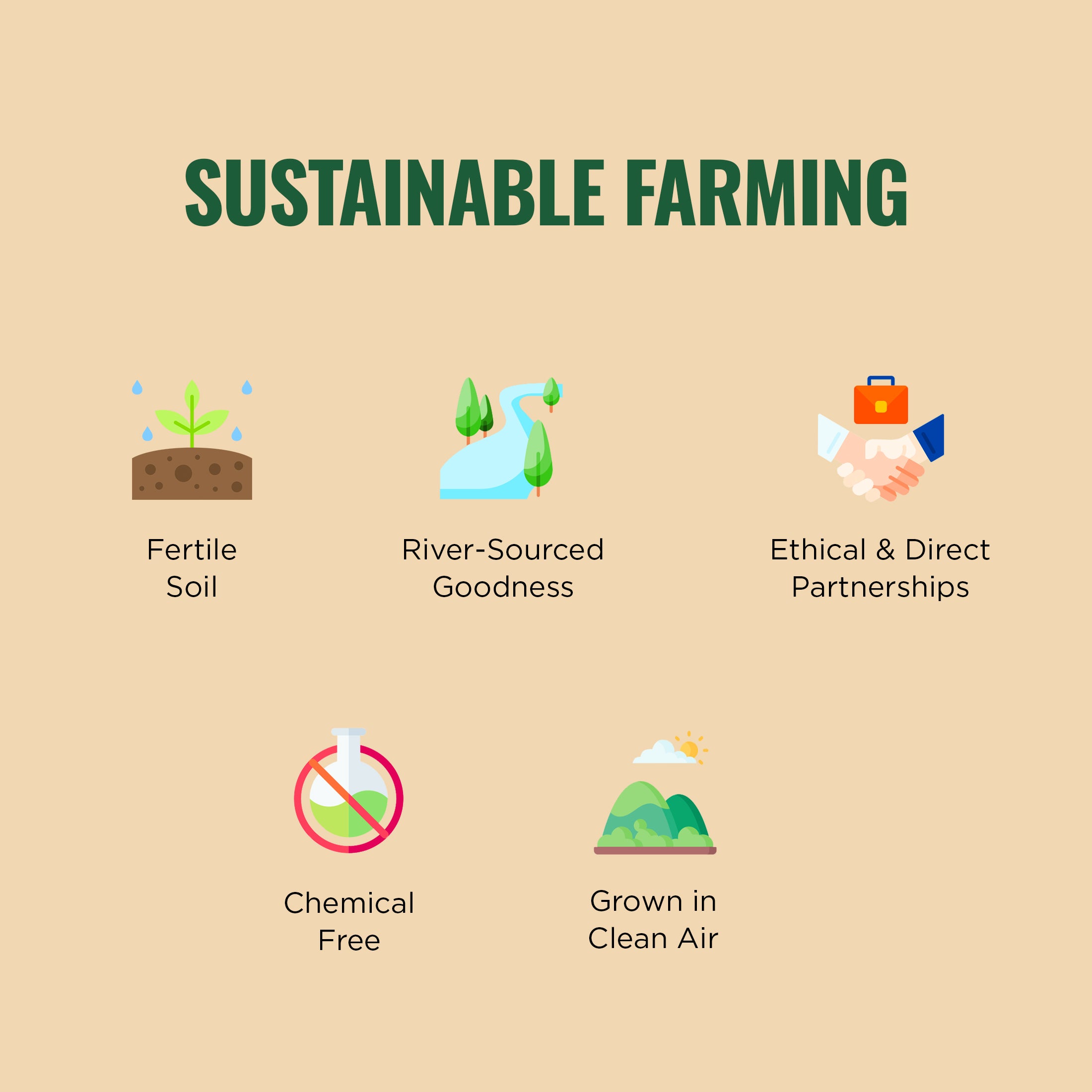 Illustrations of sustainable farming practices with icons and text on a beige background.